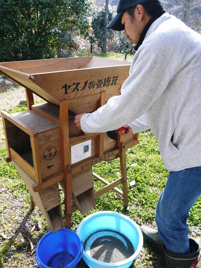 無農薬・無化学肥料で育てた「菊池水源産エゴマ」 エゴマ油、焙煎エゴマ粒(白)数量限定で販売中!_a0254656_18314084.jpg