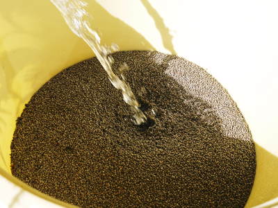 無農薬・無化学肥料で育てた「菊池水源産エゴマ」 エゴマ油、焙煎エゴマ粒(白)数量限定で販売中!_a0254656_18425932.jpg