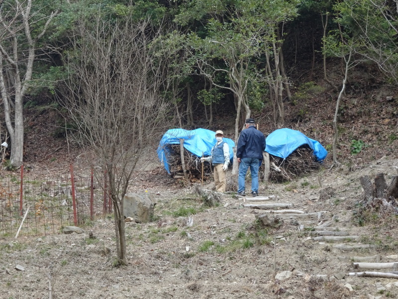 『バンブーハウス竹屋根葺き替え完成　＆　ヤマモモの道完成　祝賀会』・・・孝子の森 　　ｂｙ　　（TATE-misaki)_c0108460_21590428.jpg