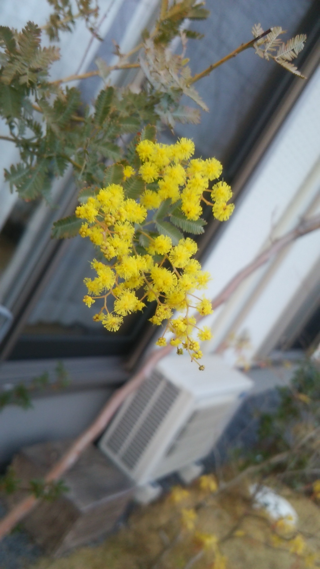 c0149167_101154.jpg