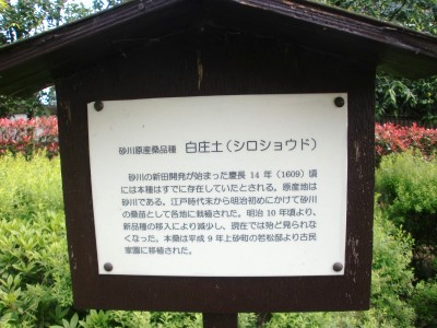 c0112172_01184.jpg