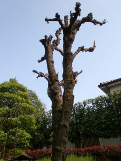 c0112172_01766.jpg