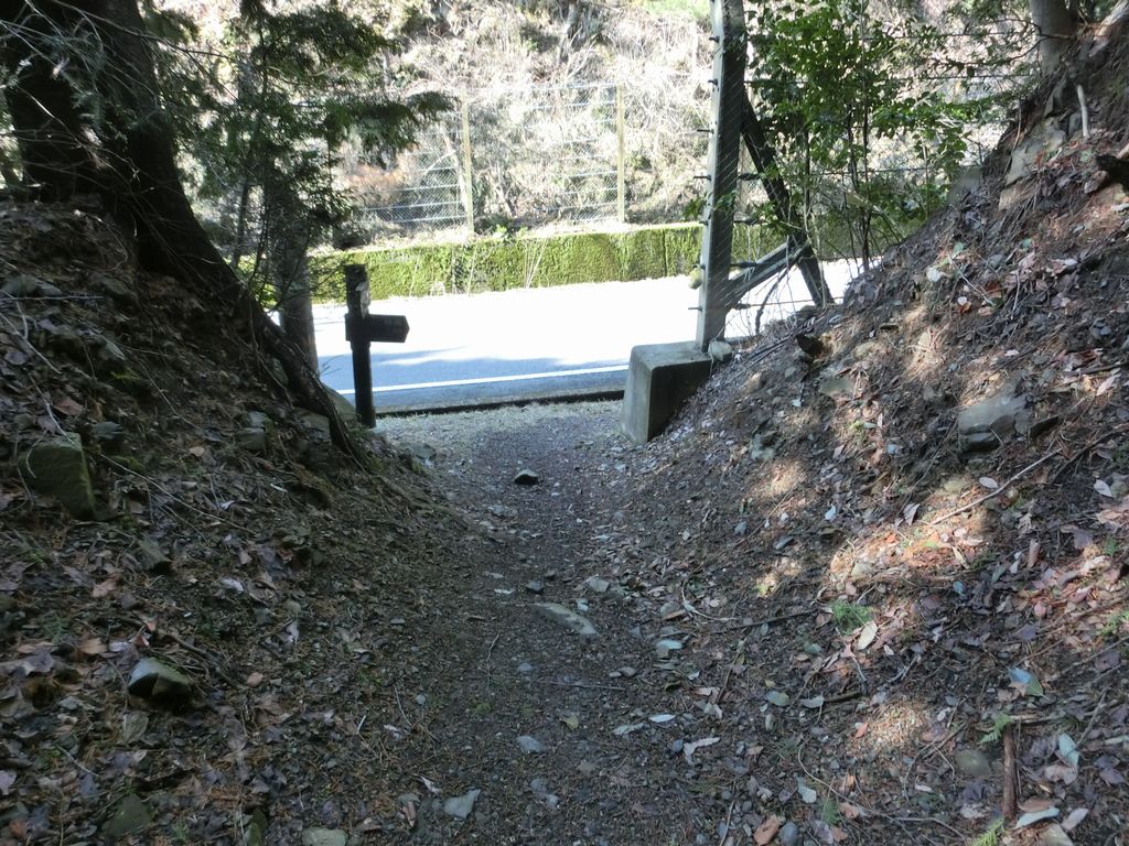 b0185573_2024281.jpg