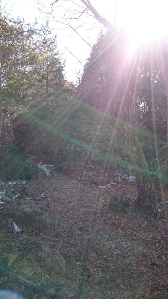 c0132275_13012043.jpg