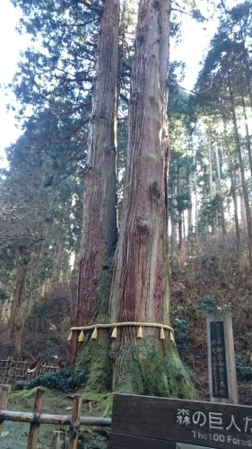 パワースポット～御岩神社_c0132275_13012434.jpg