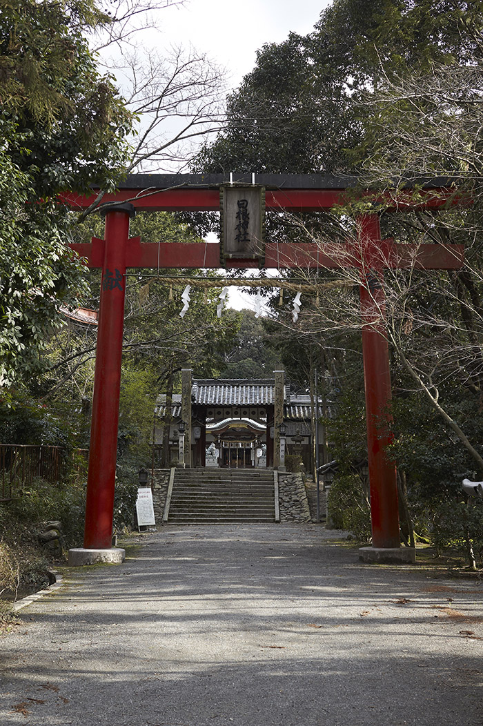 日根神社、その２。_d0286980_22412510.jpg