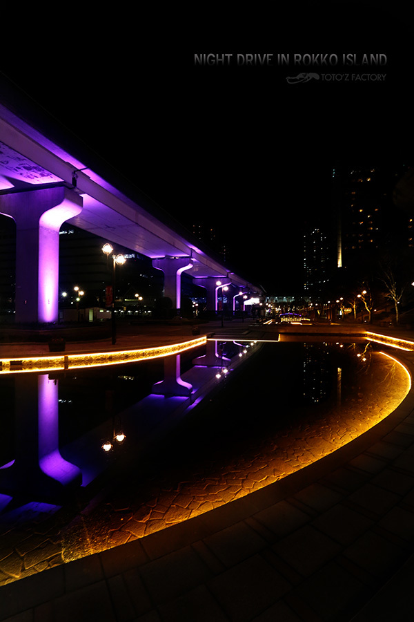 Night Drive in Rokko Island_a0034287_17031253.jpg