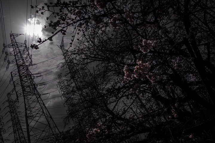 d0353489_20192079.jpg