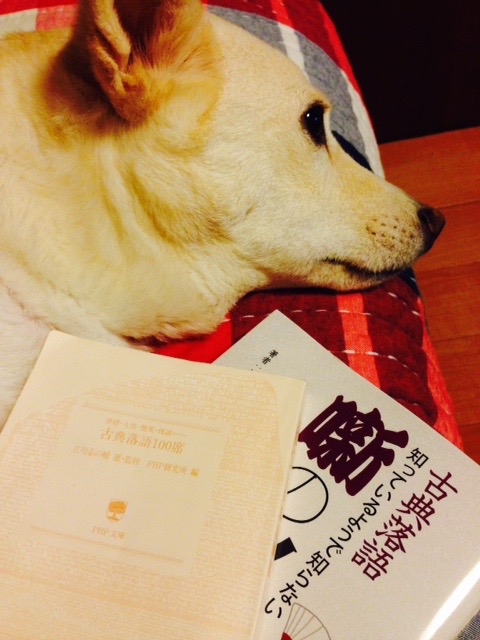 最近の息抜き♪_f0232994_11172132.jpg