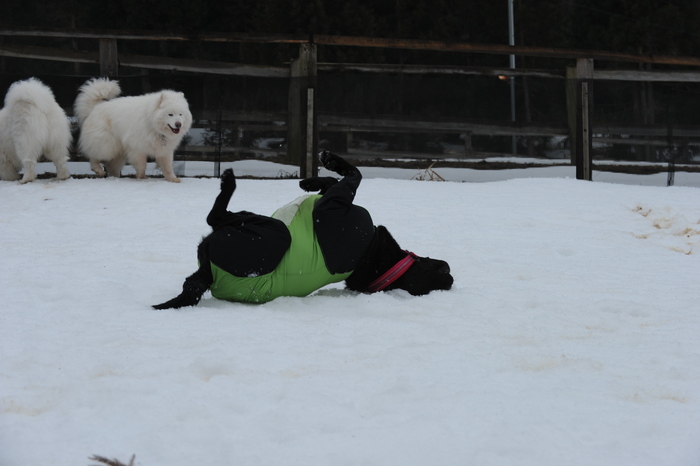 第9回 雪中オフ 1_a0049296_18115634.jpg