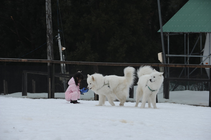 第9回 雪中オフ 1_a0049296_1814519.jpg