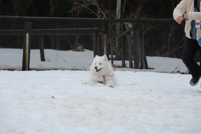 第9回 雪中オフ 1_a0049296_1820338.jpg