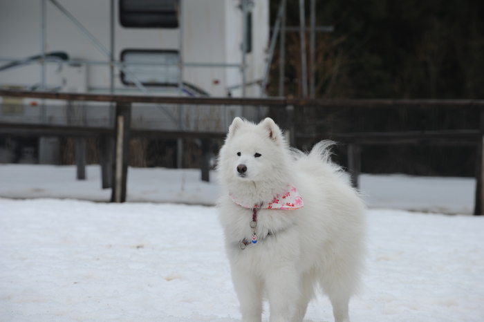 第9回 雪中オフ 1_a0049296_18221738.jpg