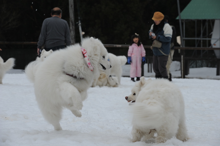 第9回 雪中オフ 1_a0049296_1824202.jpg