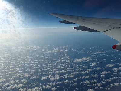 d0074596_1402582.jpg