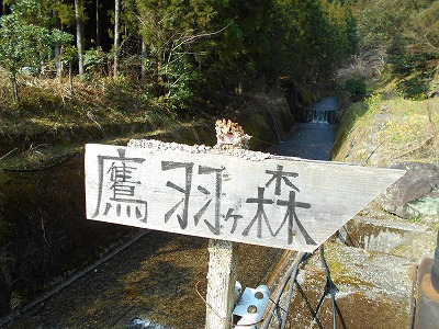 f0308898_11241120.jpg