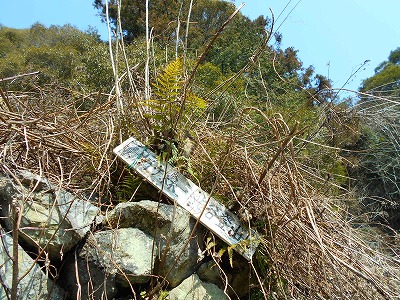 f0308898_11242523.jpg