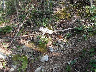 f0308898_11251172.jpg