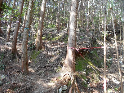 f0308898_11251843.jpg