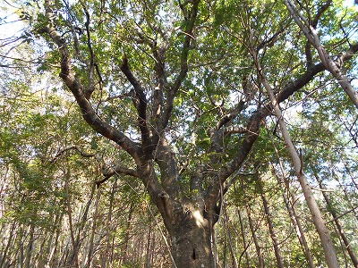 f0308898_11262837.jpg
