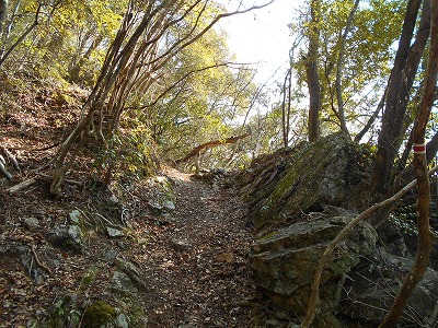f0308898_1127011.jpg