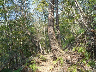 f0308898_11271398.jpg