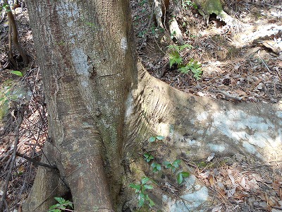 f0308898_11273619.jpg