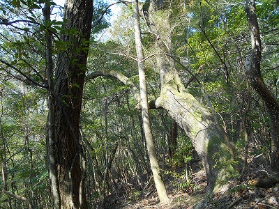 f0308898_11274912.jpg