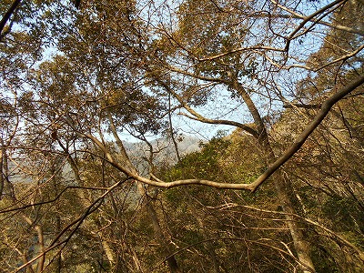 f0308898_1127717.jpg