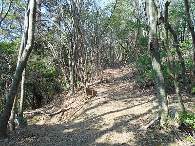 f0308898_11442984.jpg