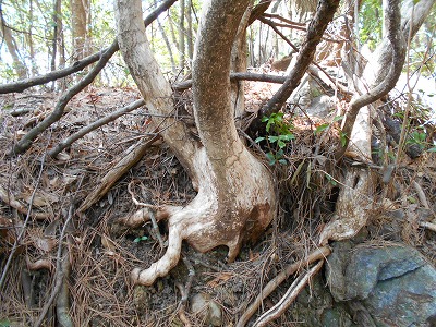 f0308898_11443730.jpg