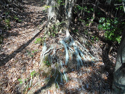 f0308898_11445220.jpg