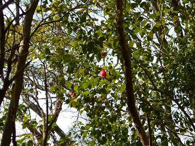 f0308898_11451497.jpg