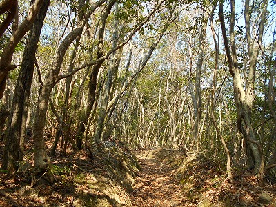 f0308898_1145198.jpg