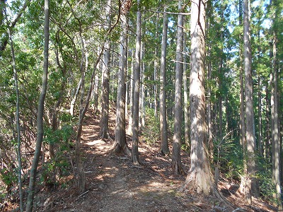 f0308898_11452146.jpg