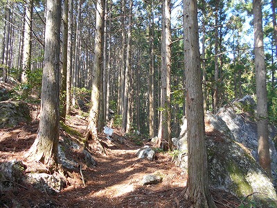 f0308898_11454259.jpg