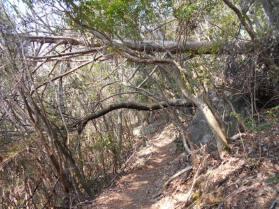 f0308898_1145784.jpg