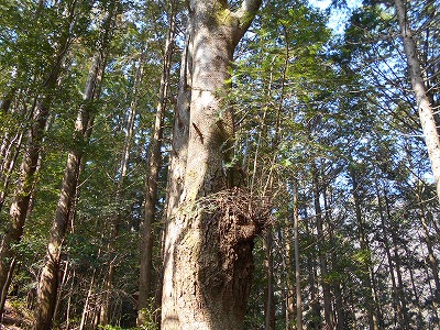 f0308898_1146124.jpg