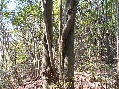f0308898_11462753.jpg