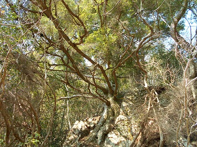 f0308898_11464655.jpg