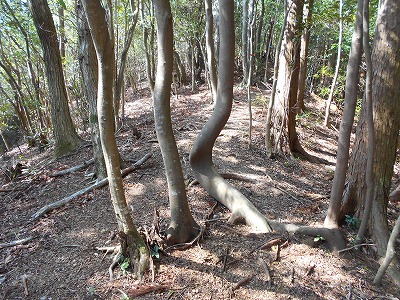 f0308898_1146868.jpg