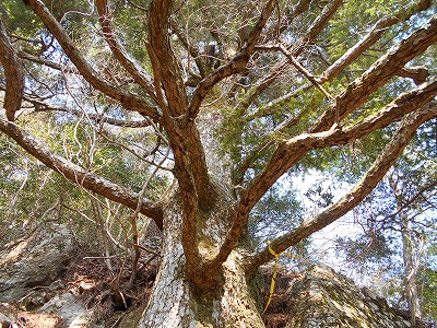 f0308898_11471641.jpg