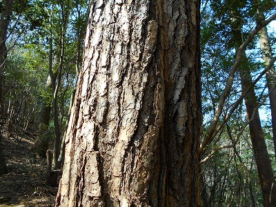 f0308898_11472812.jpg