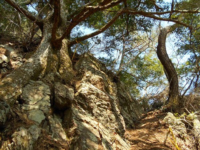 f0308898_1147445.jpg