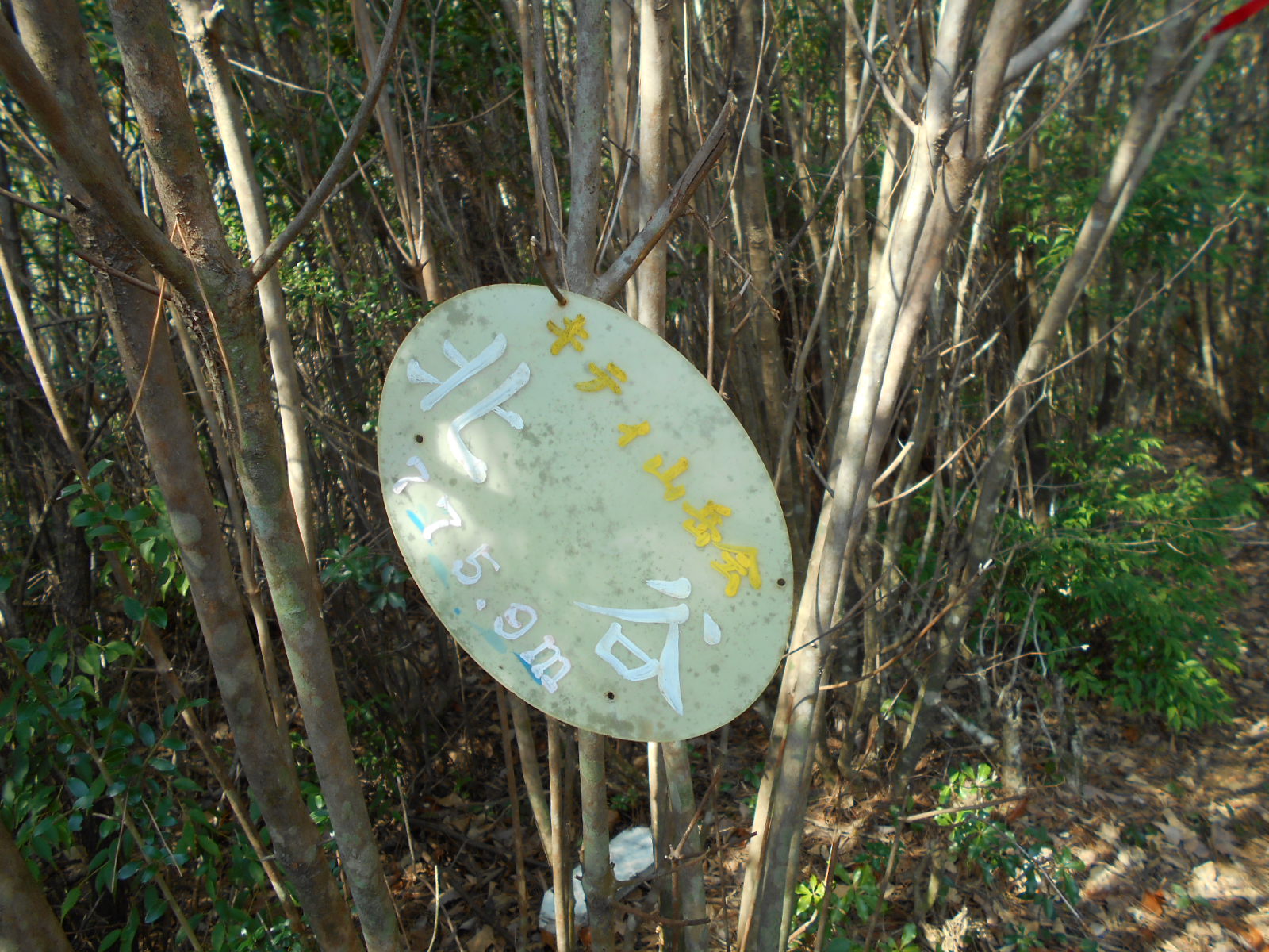 f0308898_11485885.jpg