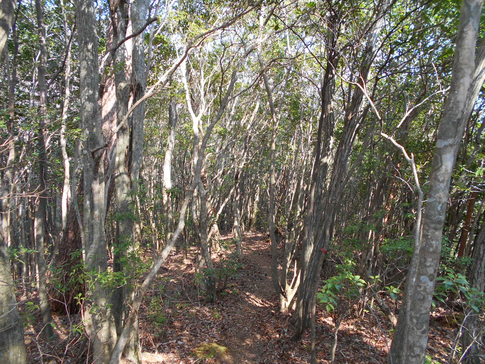 f0308898_11491273.jpg
