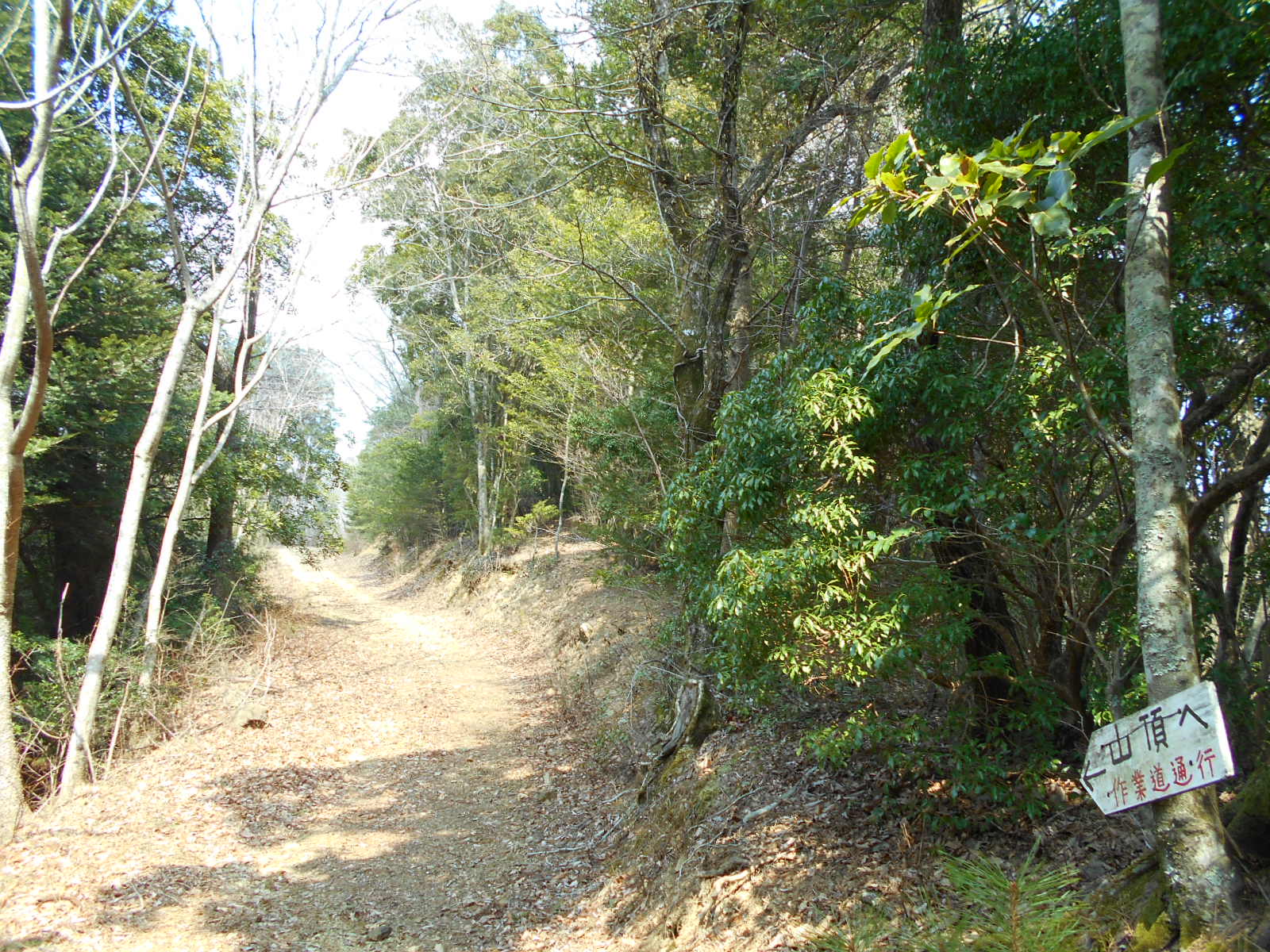 f0308898_11491850.jpg
