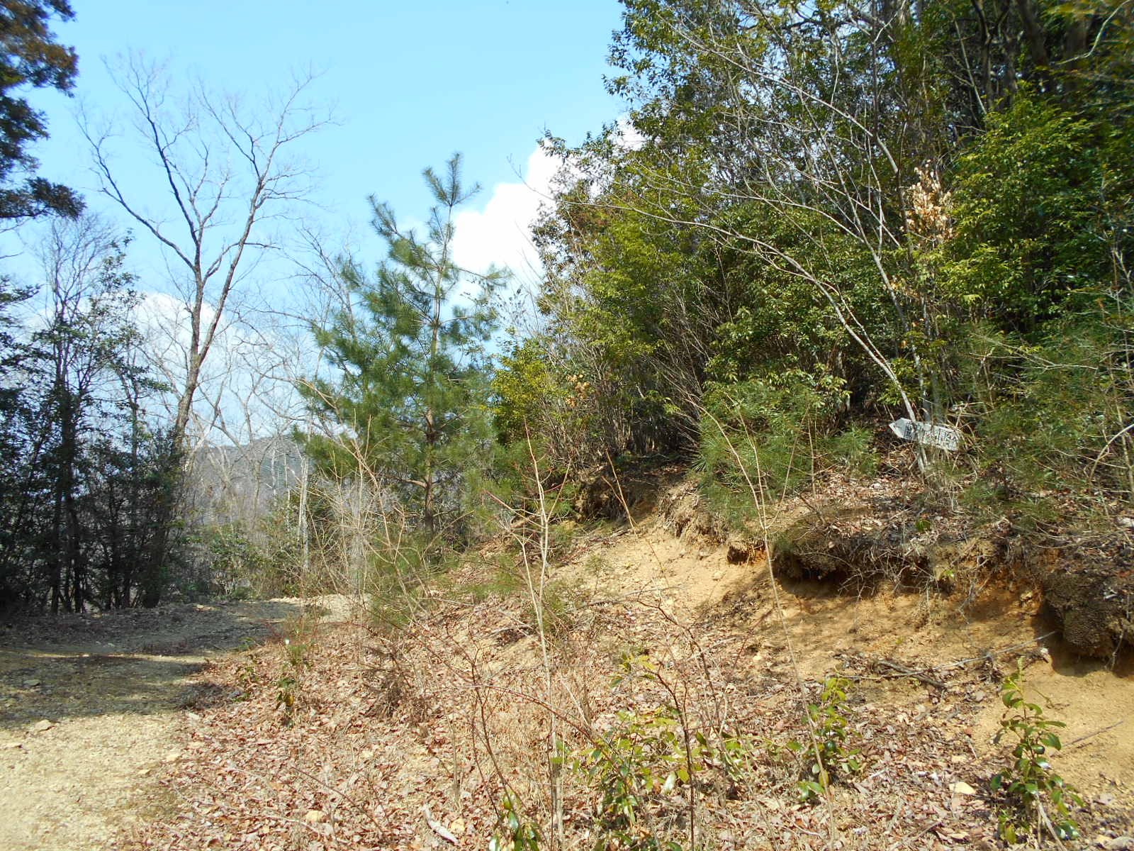 f0308898_11492547.jpg