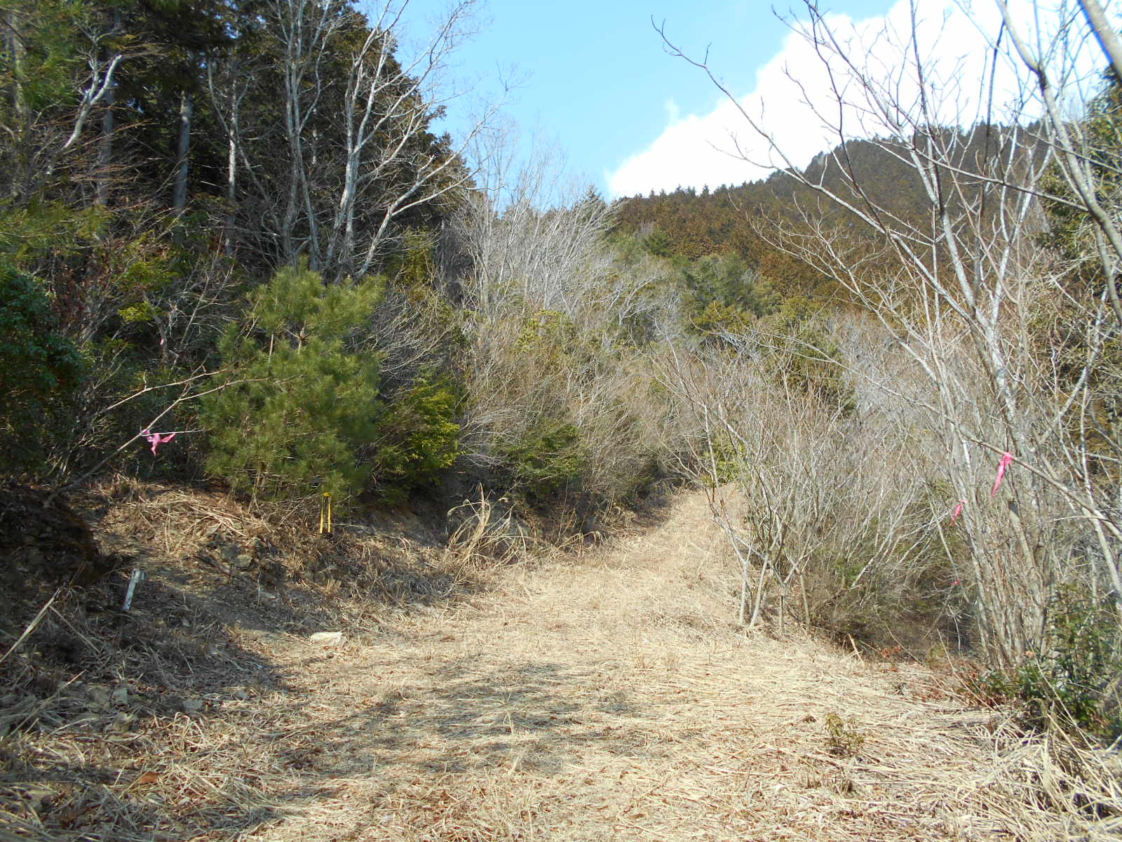 f0308898_11493898.jpg