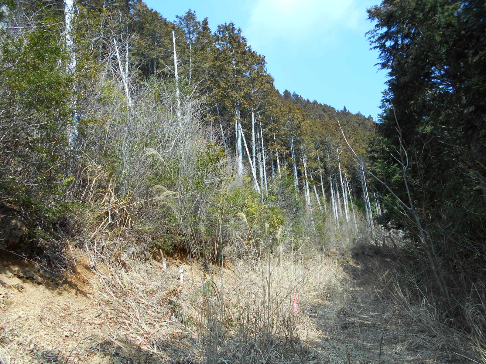 f0308898_11501481.jpg